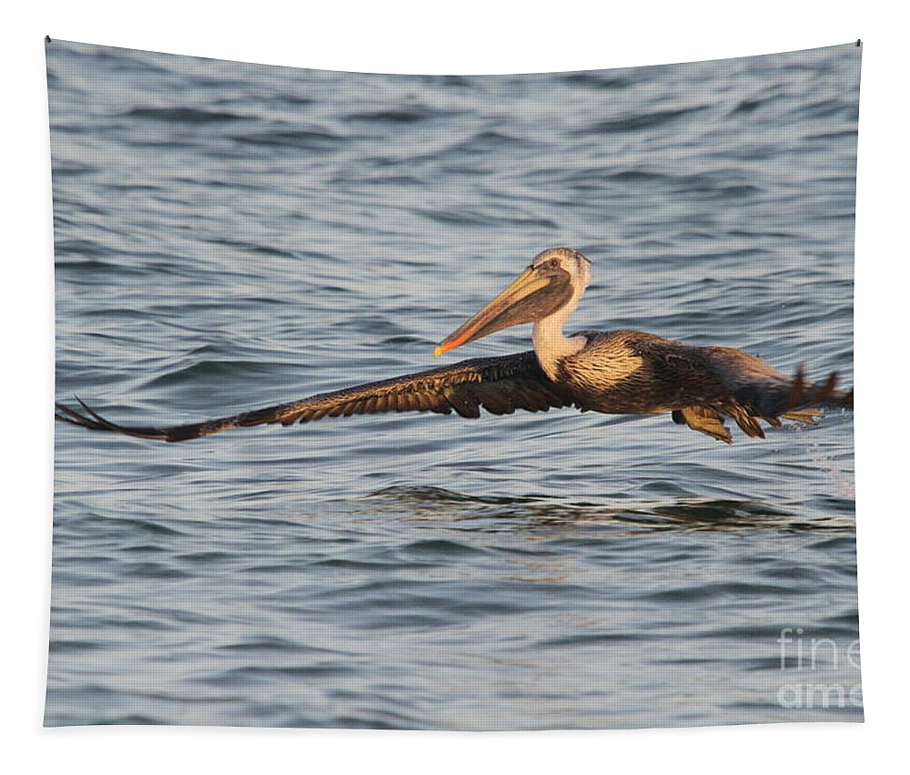 Pelican Tapestry featuring the photograph Skim Over The Sea by Christiane Schulze Art And Photography