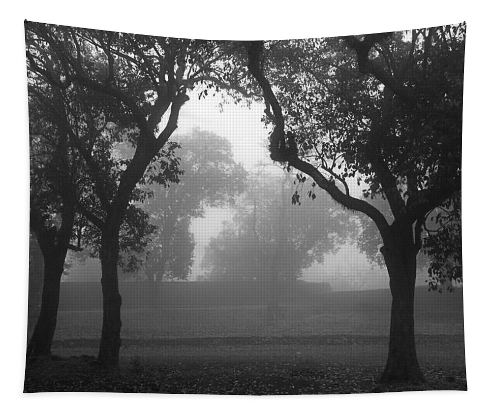 Fog Tapestry featuring the photograph SKC 0063 Atmospheric Bliss by Sunil Kapadia
