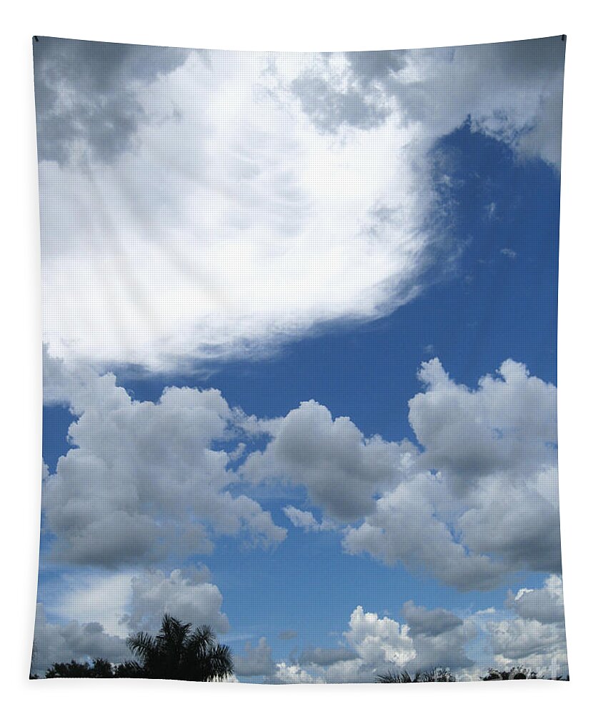 Sky Tapestry featuring the photograph Sky View by Oksana Semenchenko