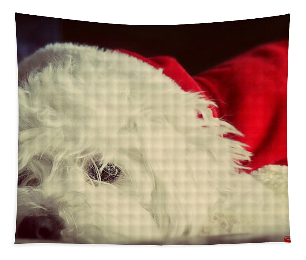 Dog Tapestry featuring the photograph Sleepy Santa by Melanie Lankford Photography