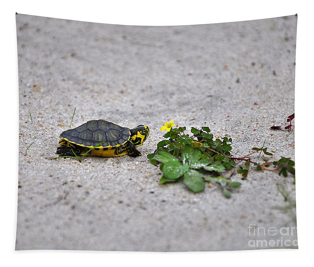 Turtle Tapestry featuring the photograph Slider and Sorrel in Sand by Al Powell Photography USA