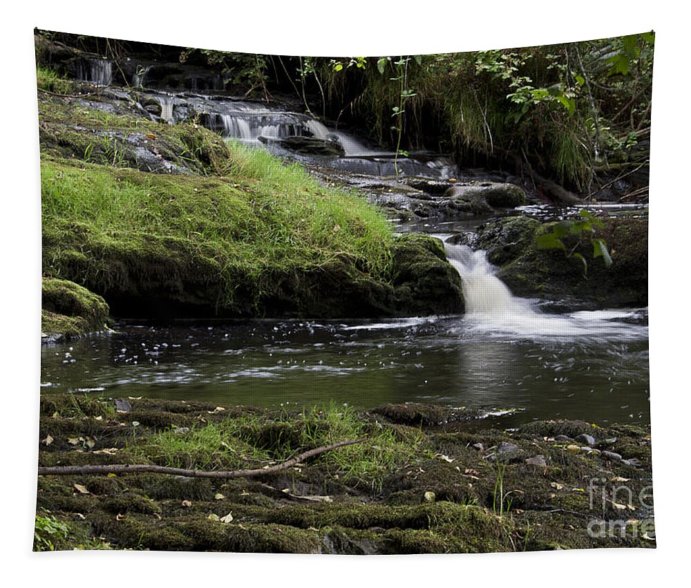 Creek Tapestry featuring the photograph Small Falls on West Beaver Creek by Kathy McClure