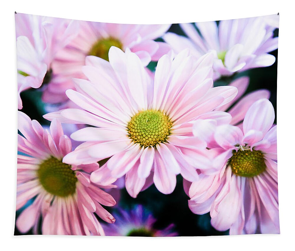 Chrysanthemum Tapestry featuring the photograph Smiling at You by Milena Ilieva