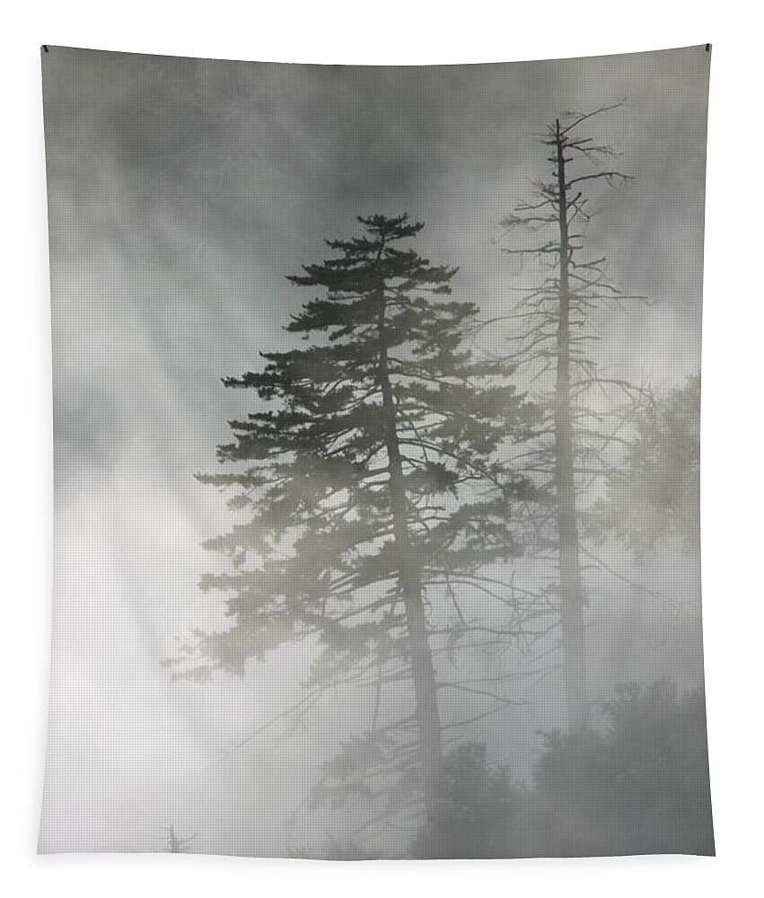 Art Prints Tapestry featuring the photograph Smoky Mountain Mist by Nunweiler Photography