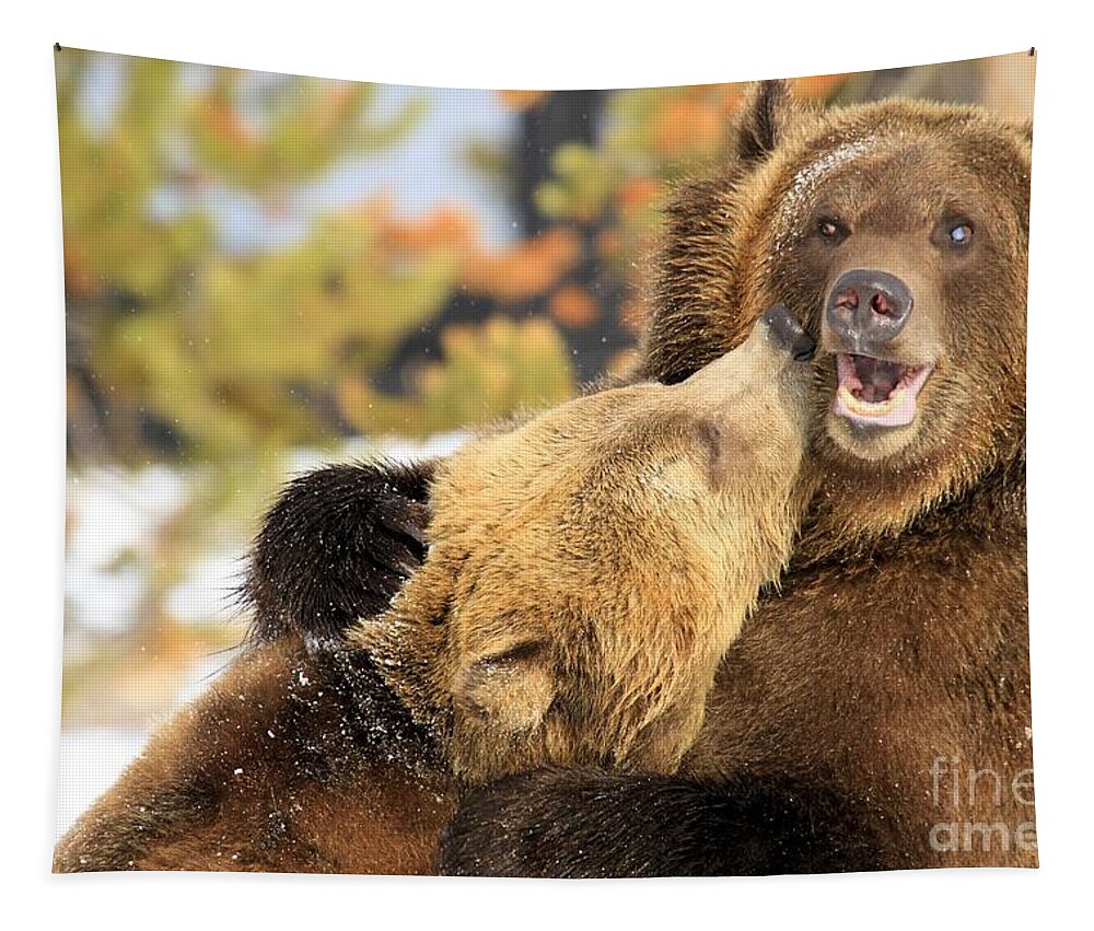 Grizzly Bear Tapestry featuring the photograph Smooch by Adam Jewell