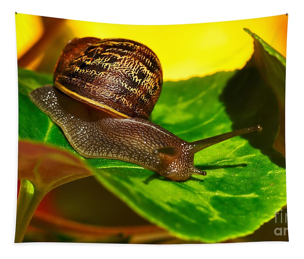 Photography Tapestry featuring the photograph Snail in Colorful Habitat by Kaye Menner