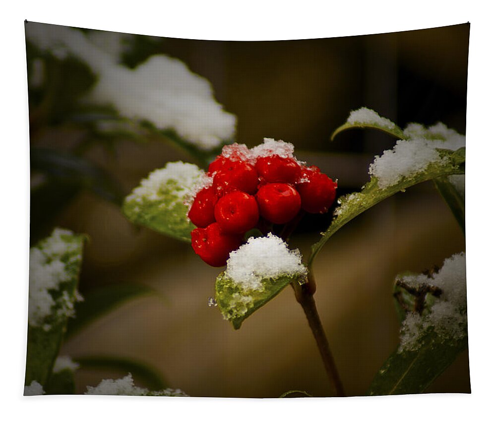 Snow Tapestry featuring the photograph Snow and Berries by Ron Roberts