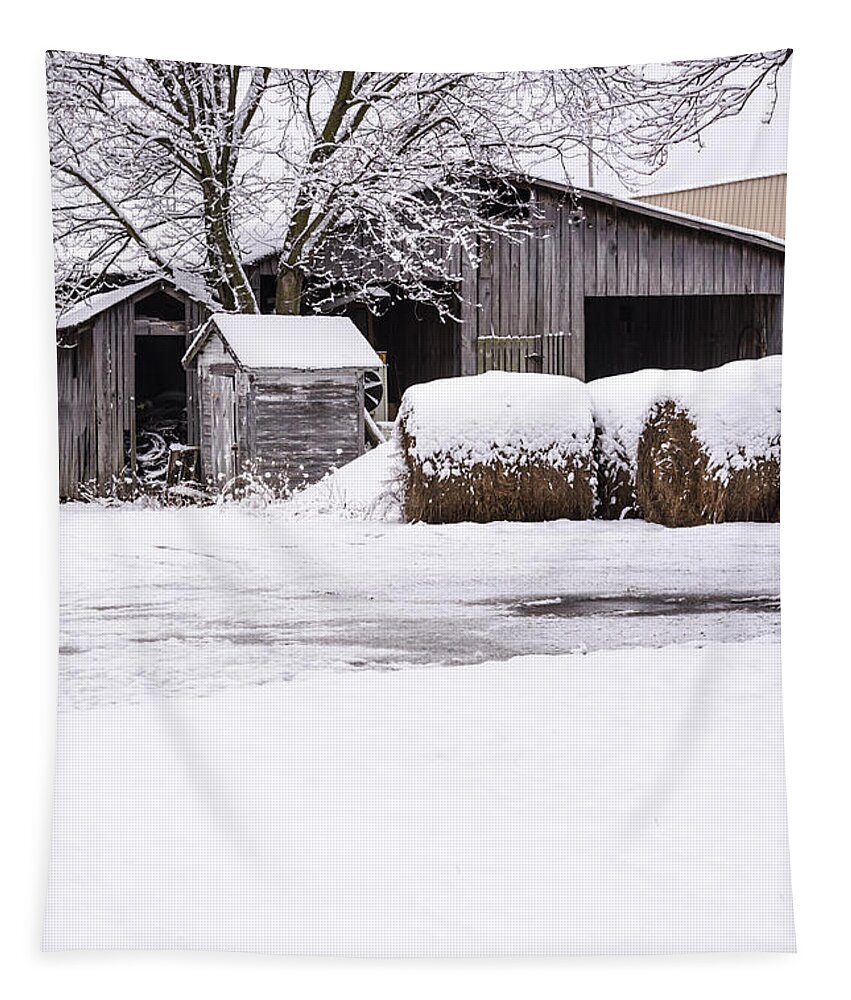 Farm Tapestry featuring the photograph Snow Covered Farm by Holden The Moment