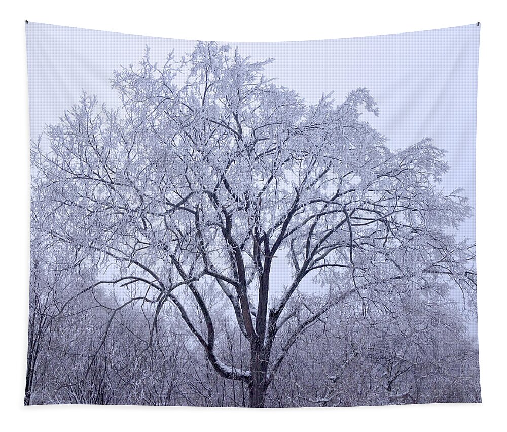 Snow Scape Tapestry featuring the photograph Snow Frosting by Kristin Hatt