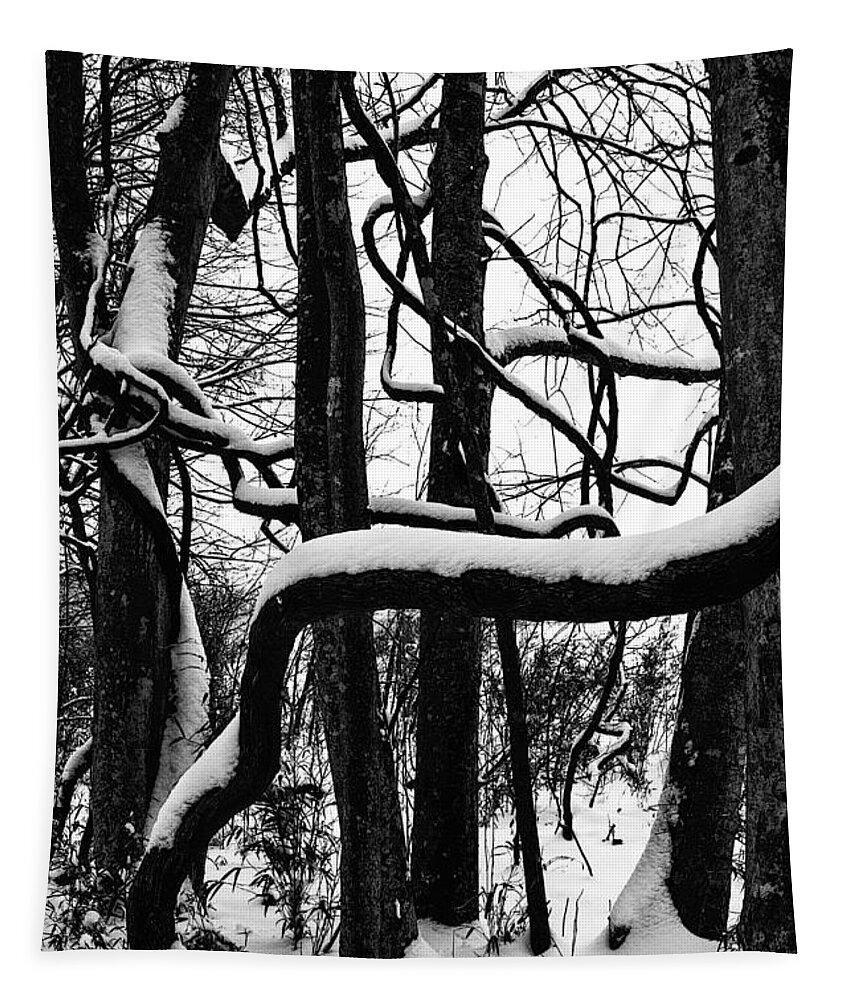 Photo Tapestry featuring the photograph Snow in the Jungle by John Haldane