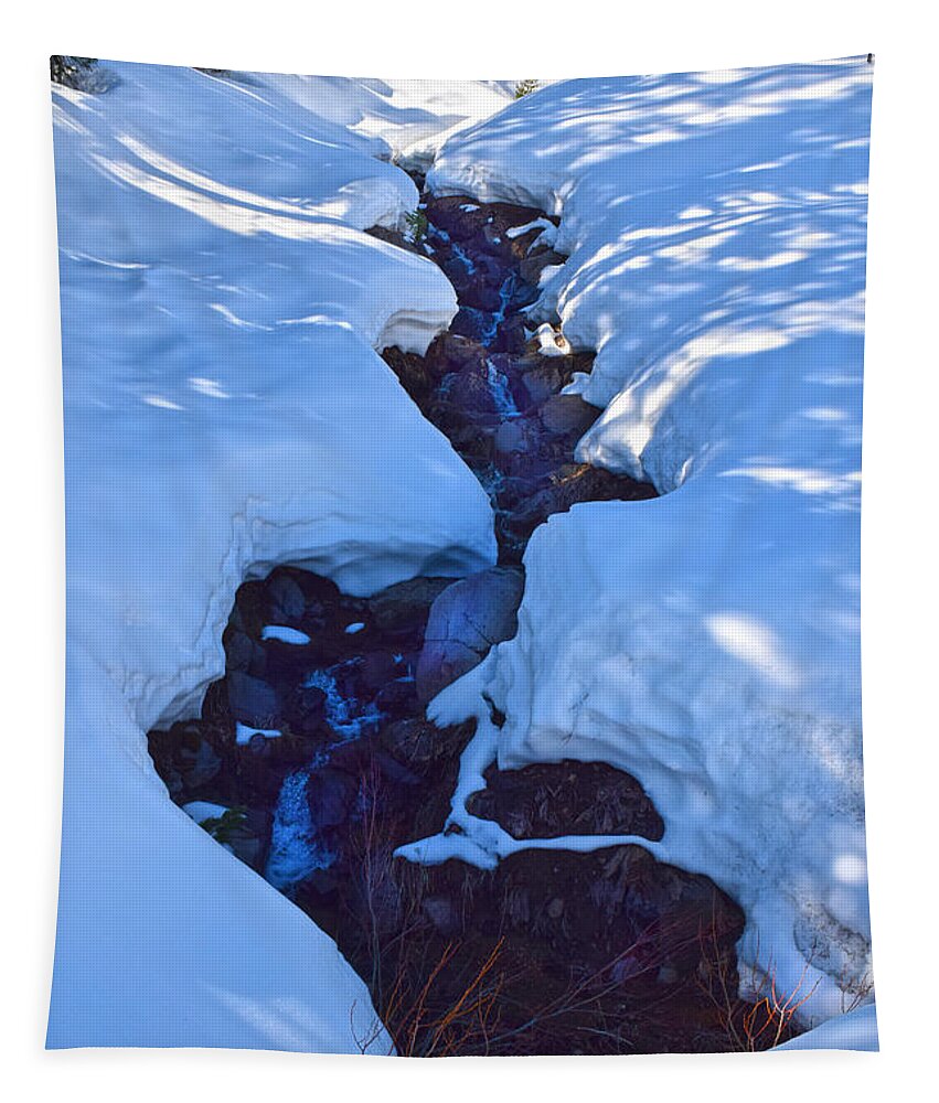 Snow Melt Tapestry featuring the photograph Snow Melt by Frank Wilson