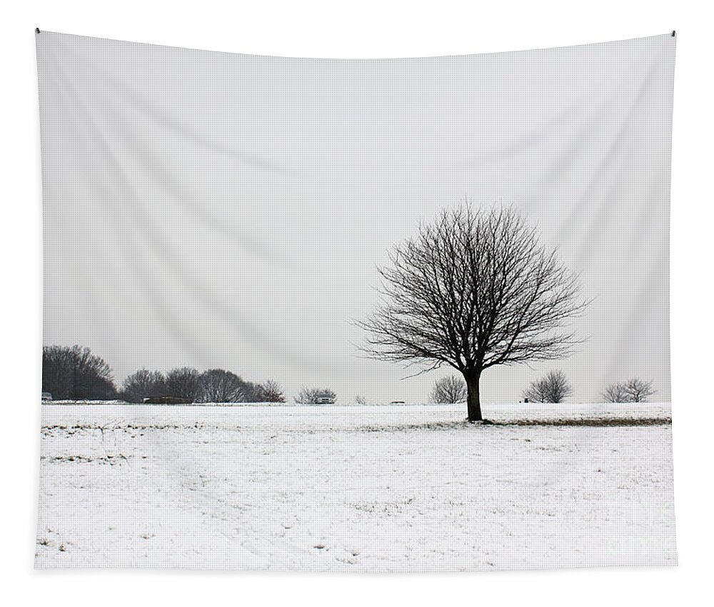 Epsom Downs Tapestry featuring the photograph Snow on Epsom Downs Surrey England UK by Julia Gavin