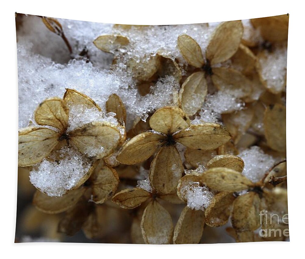 Snow Tapestry featuring the photograph Snow on hydrangea by Jim Gillen