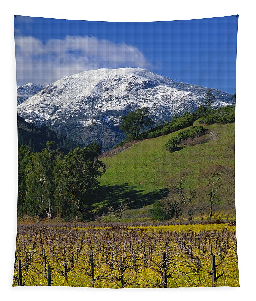 Rare Snow Tapestry featuring the photograph 4B6385-Snow on Mt. St. Helena in Napa Valley by Ed Cooper Photography