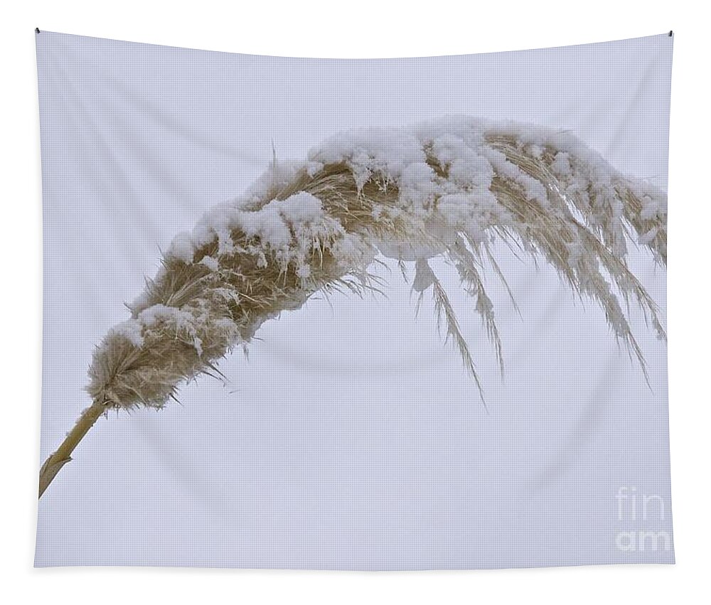 Photography Tapestry featuring the photograph Snow on the Pampas by Sean Griffin