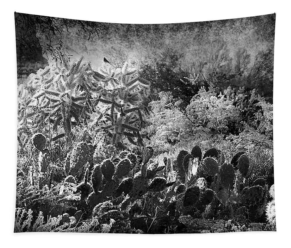 Landscape Tapestry featuring the photograph Snowfall In The Desert by Phyllis Denton