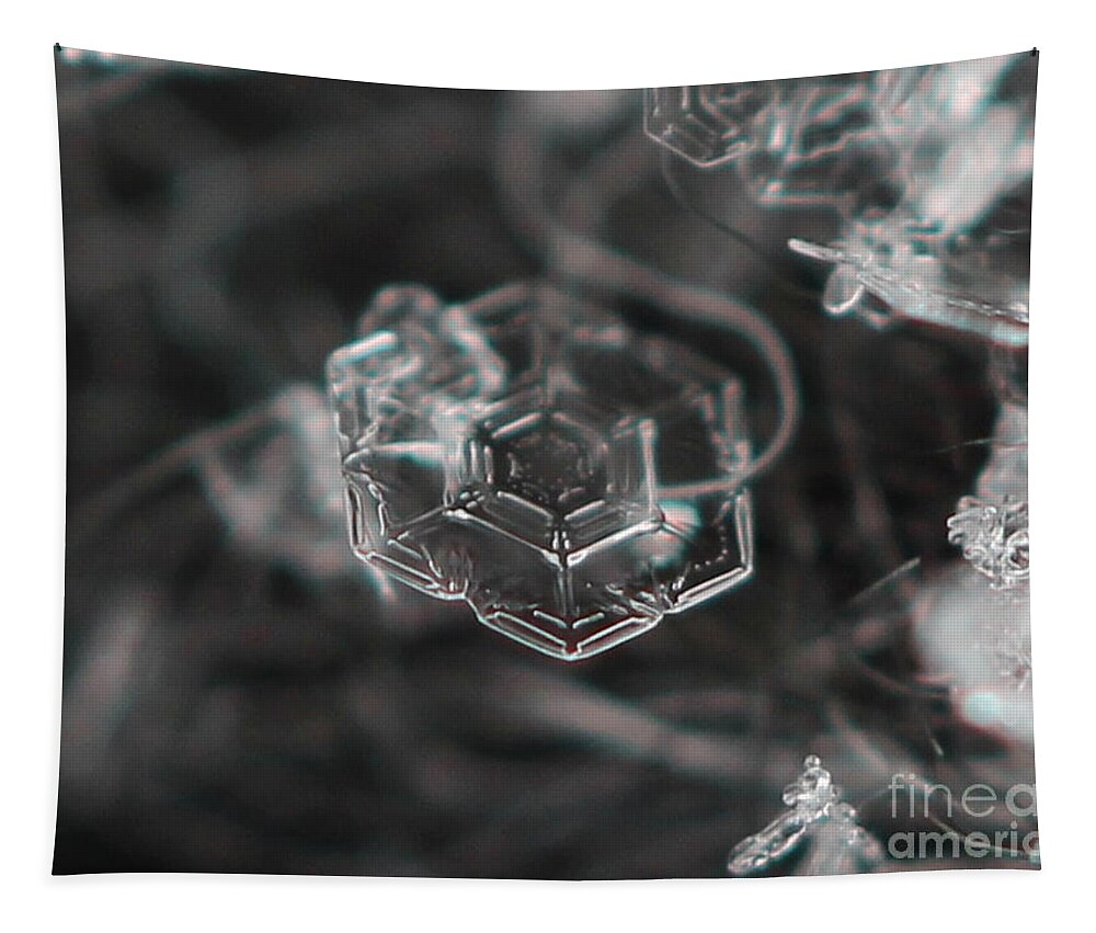 Geometric Tapestry featuring the photograph Snowflake Geometry by Stacey Zimmerman