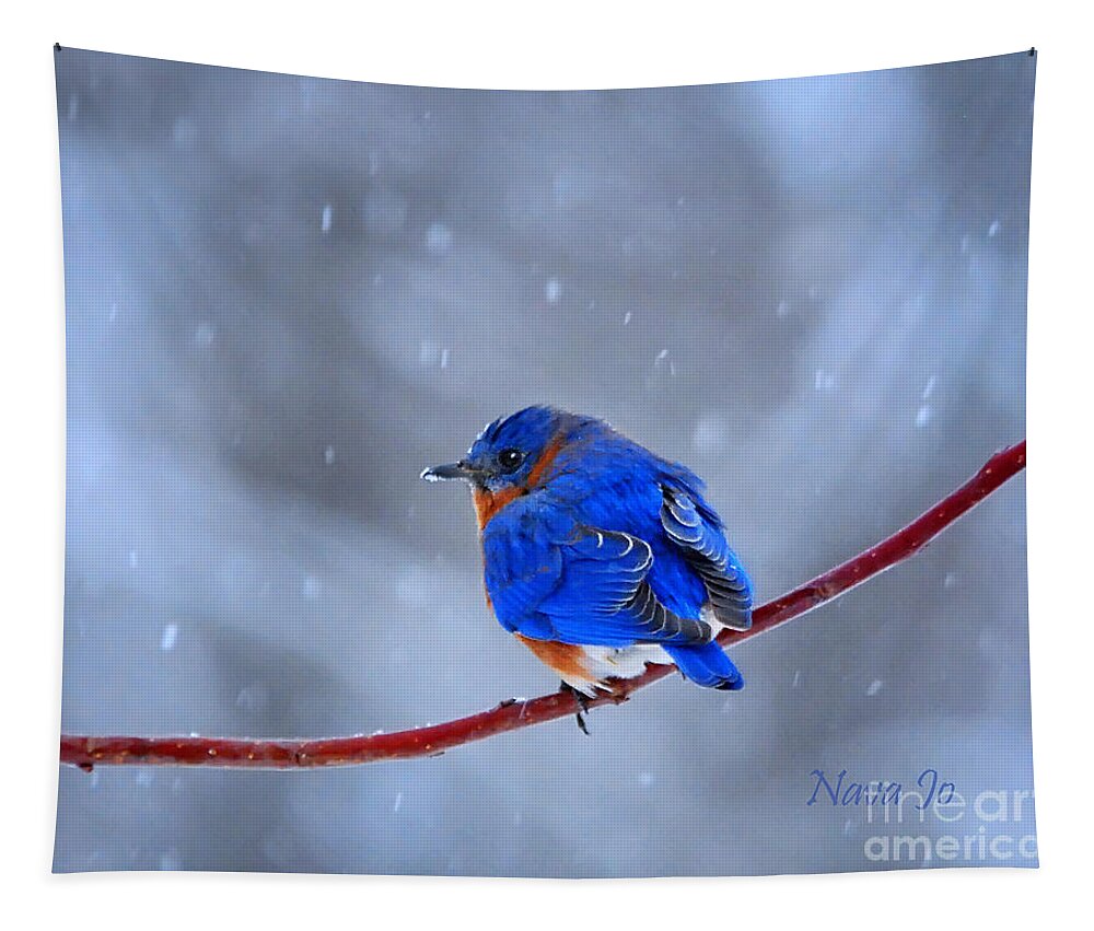 Nature Tapestry featuring the photograph Snowy Bluebird by Nava Thompson