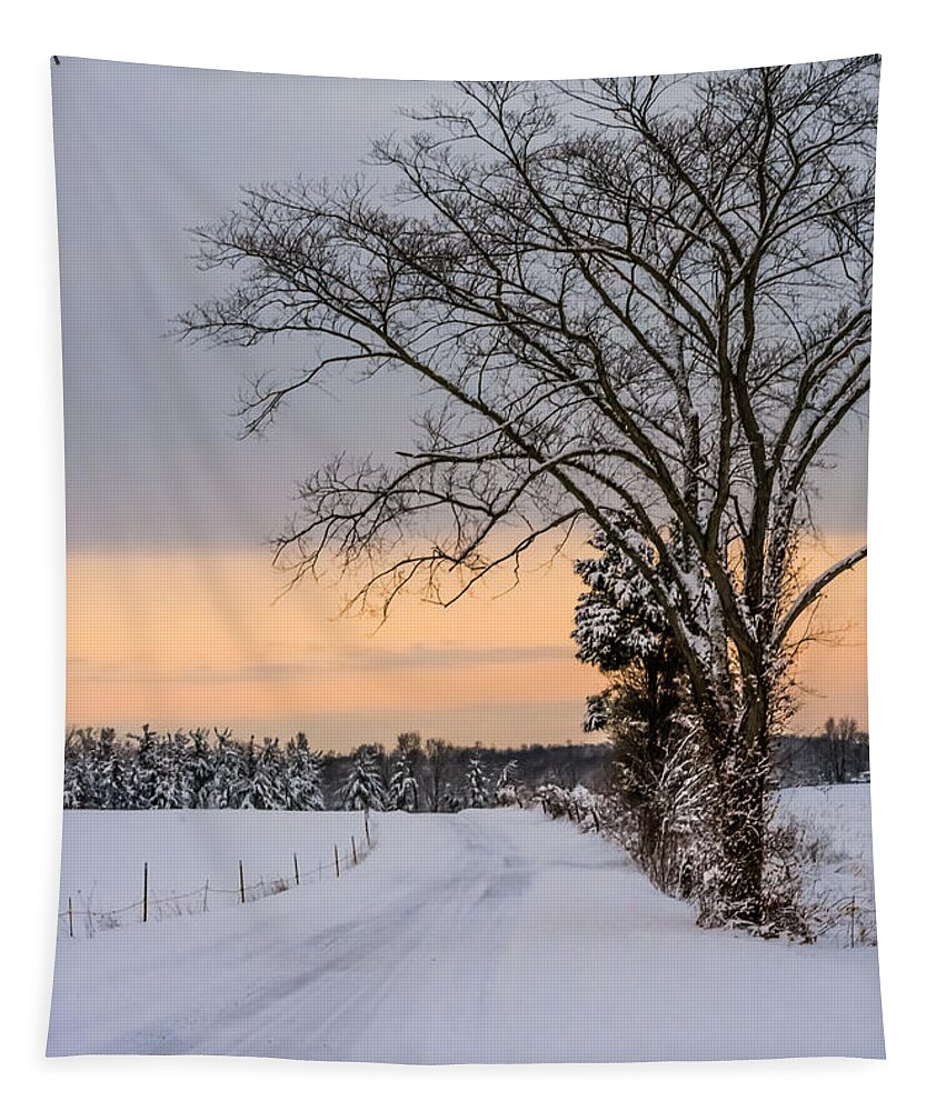 Snow Tapestry featuring the photograph Snowy Country Road by Holden The Moment