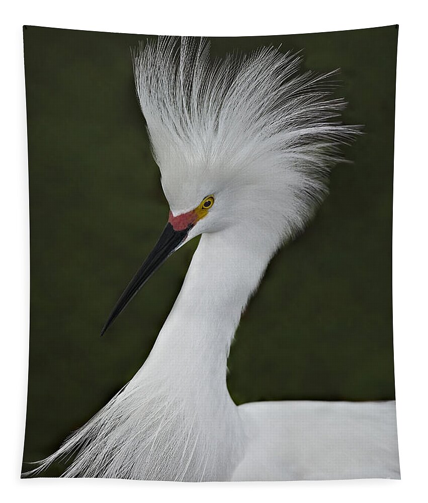 Snowy Egret Tapestry featuring the photograph Snowy Egret Display by Susan Candelario