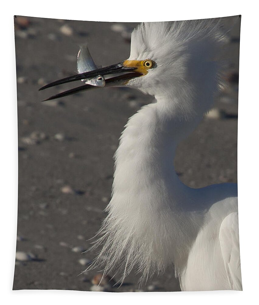 Snowy Egret Tapestry featuring the photograph Snowy Egret Fishing by Meg Rousher