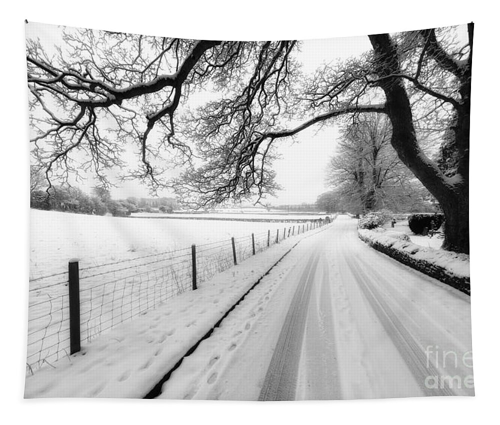 British Tapestry featuring the photograph Snowy Lane by Adrian Evans