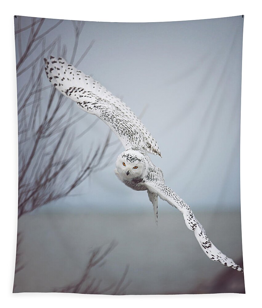 Wildlife Tapestry featuring the photograph Snowy Owl In Flight by Carrie Ann Grippo-Pike