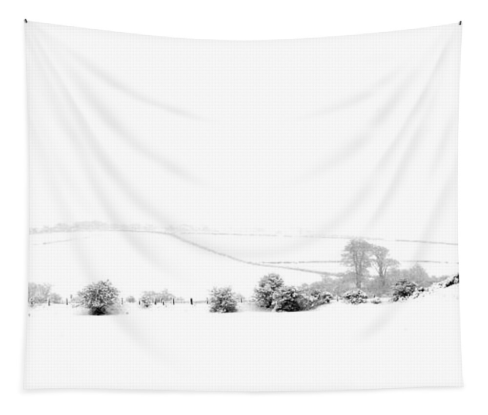 Snow Tapestry featuring the photograph Snowy panorama by Liz Leyden