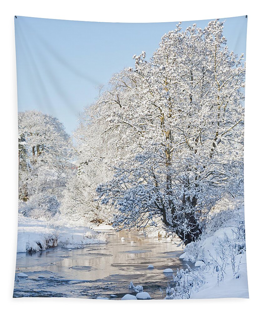 Snow Tapestry featuring the photograph Snowy Stream by Liz Leyden