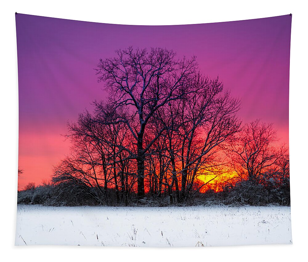 Colorful Sky Tapestry featuring the photograph Snowy Sunset by Ron Pate