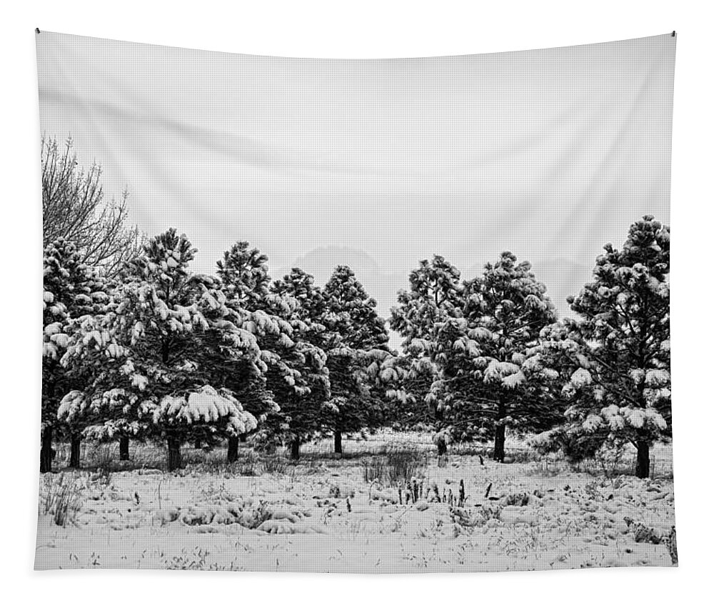 Snow Tapestry featuring the photograph Snowy Winter Pine Trees In Black and White by James BO Insogna