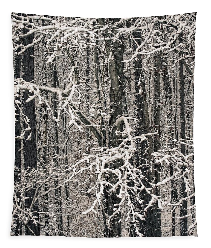 Landscape Tapestry featuring the photograph Snowy Woods by Carol Whaley Addassi