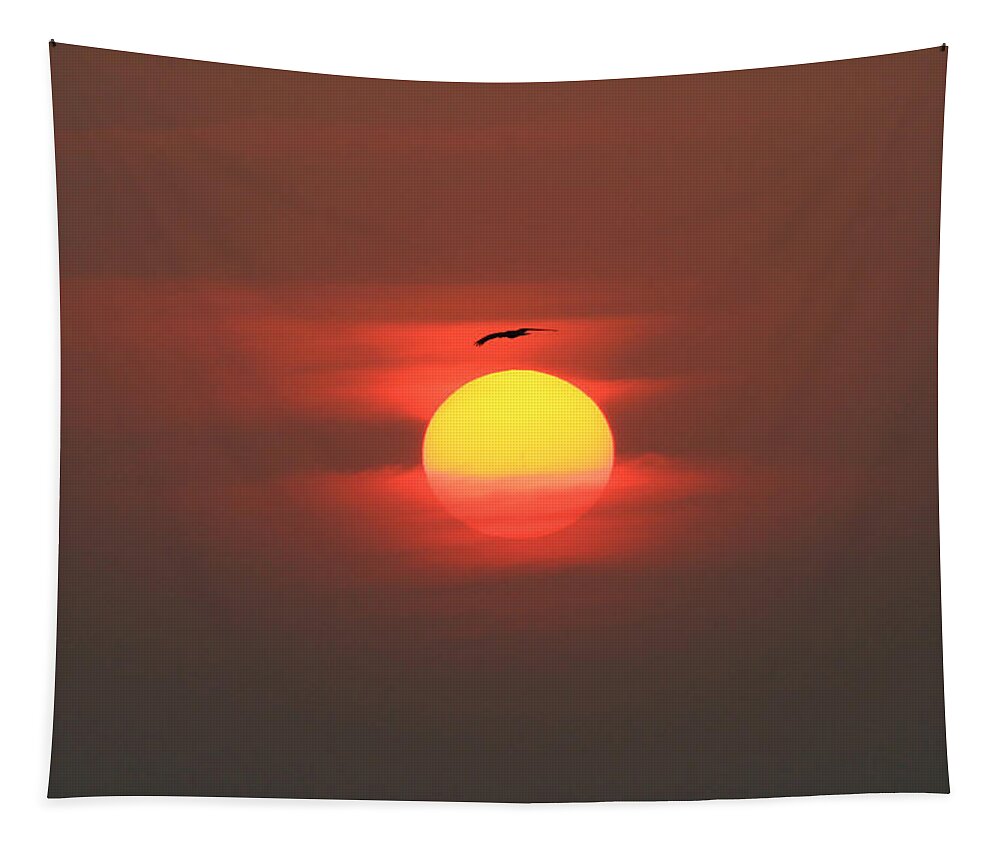 Sunrise Tapestry featuring the photograph Soaring High by Roger Becker