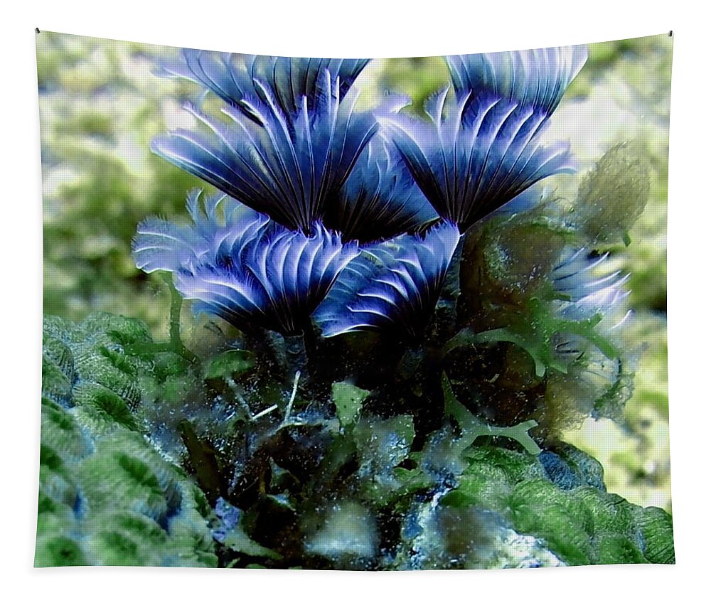 Nature Tapestry featuring the photograph Social Feather Duster Cluster - A Social Gathering by Amy McDaniel