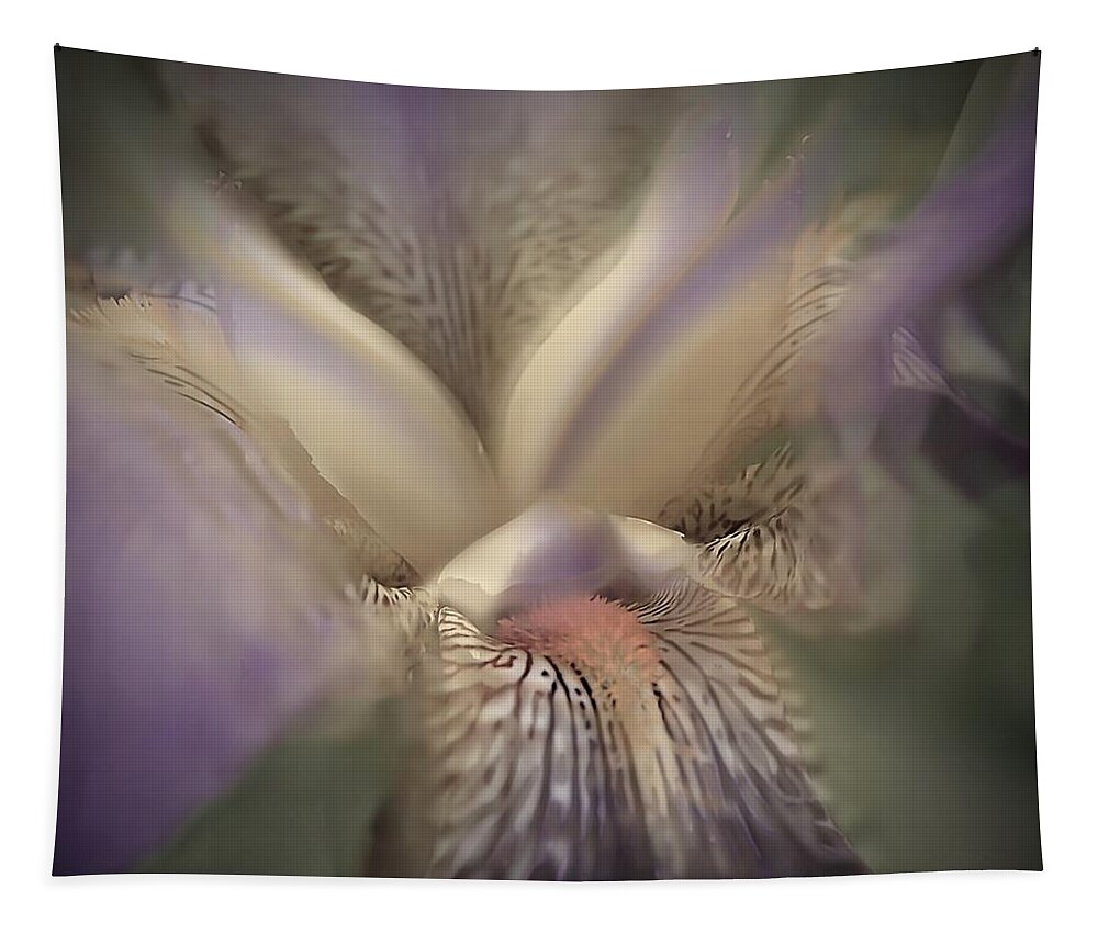 Iris Photographs Tapestry featuring the photograph Soft Iris Flower by Phyllis Meinke