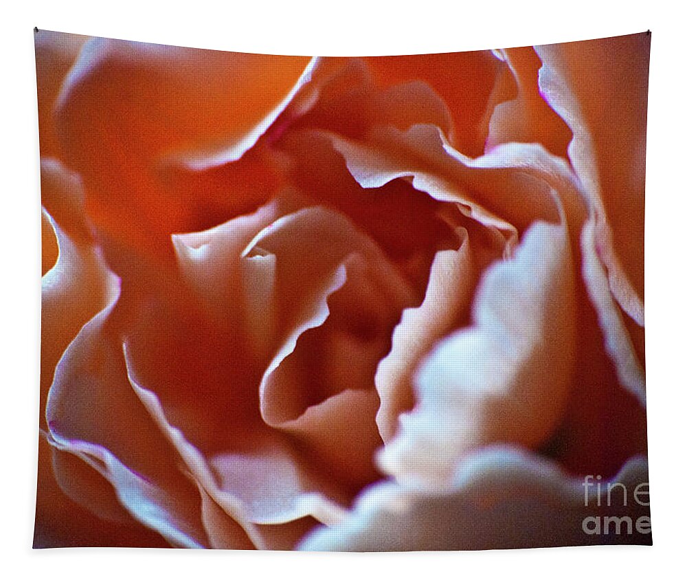 Flower Tapestry featuring the photograph Soft Petals by Ron Roberts