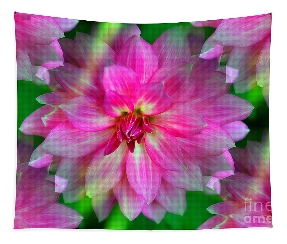 Dahlia Tapestry featuring the photograph Soft Pink Endless Dahlia by Judy Palkimas