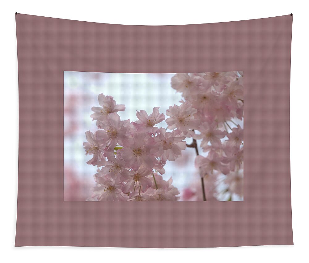 Cherry Blossoms Tapestry featuring the photograph Soft... by Yuka Kato