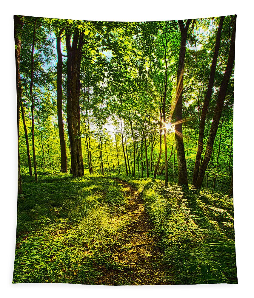 Trail Tapestry featuring the photograph Solitary Journey by Phil Koch