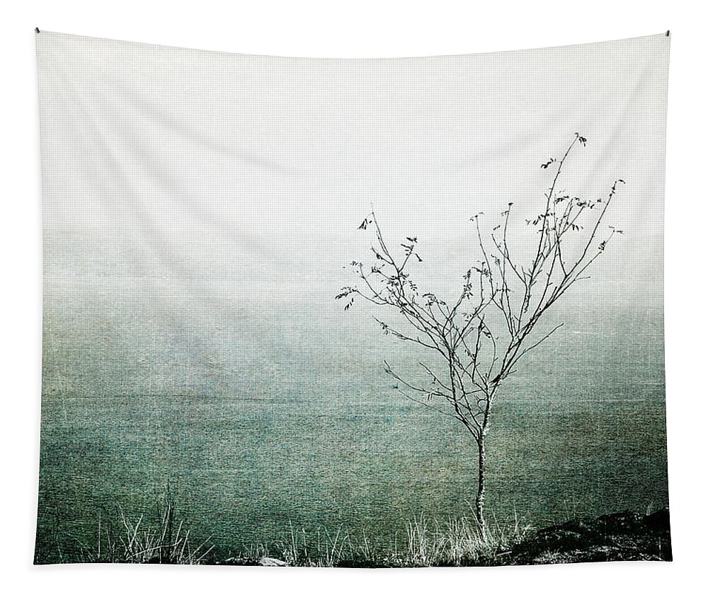Tree Tapestry featuring the photograph Solitary Mindfulness by Randi Grace Nilsberg