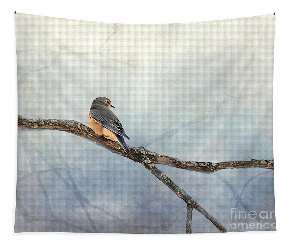 Bird Tapestry featuring the photograph Solitude by Jai Johnson