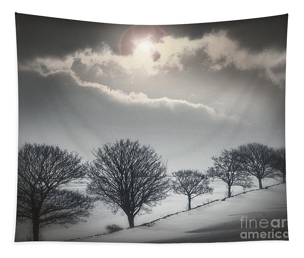 Europe Tapestry featuring the photograph Solitude of Coldness by Edmund Nagele FRPS