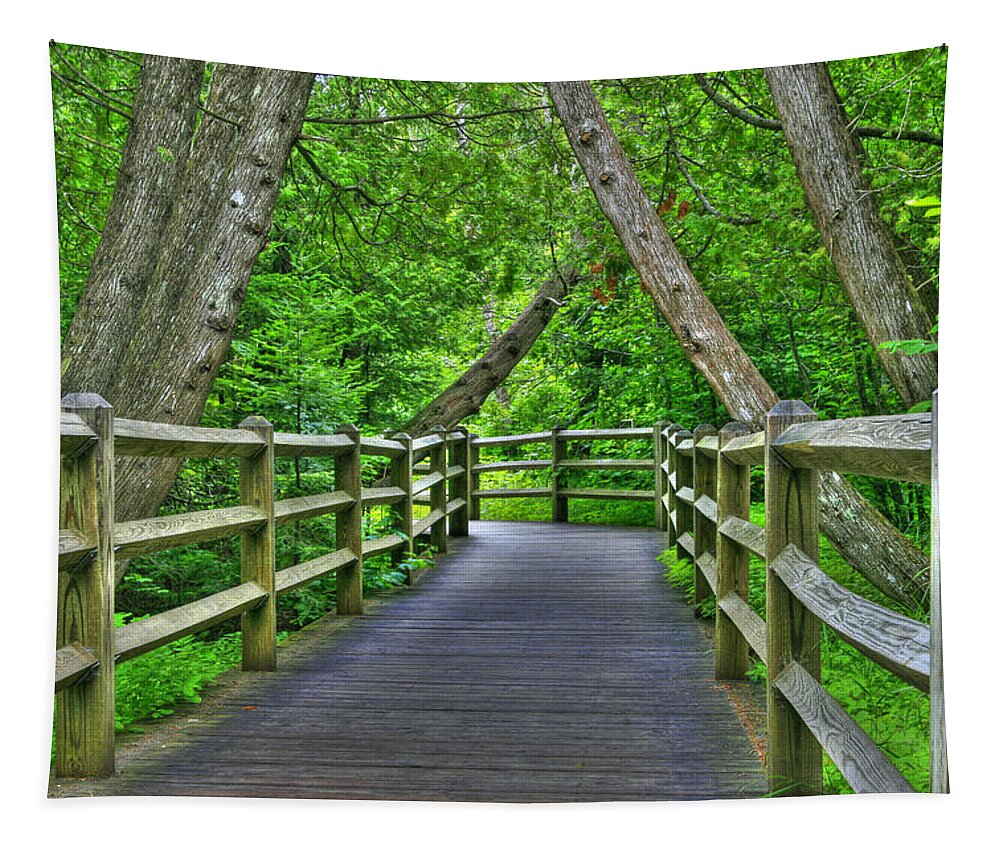 Woods Tapestry featuring the photograph Somewhere In The Upper Peninsula by John Absher