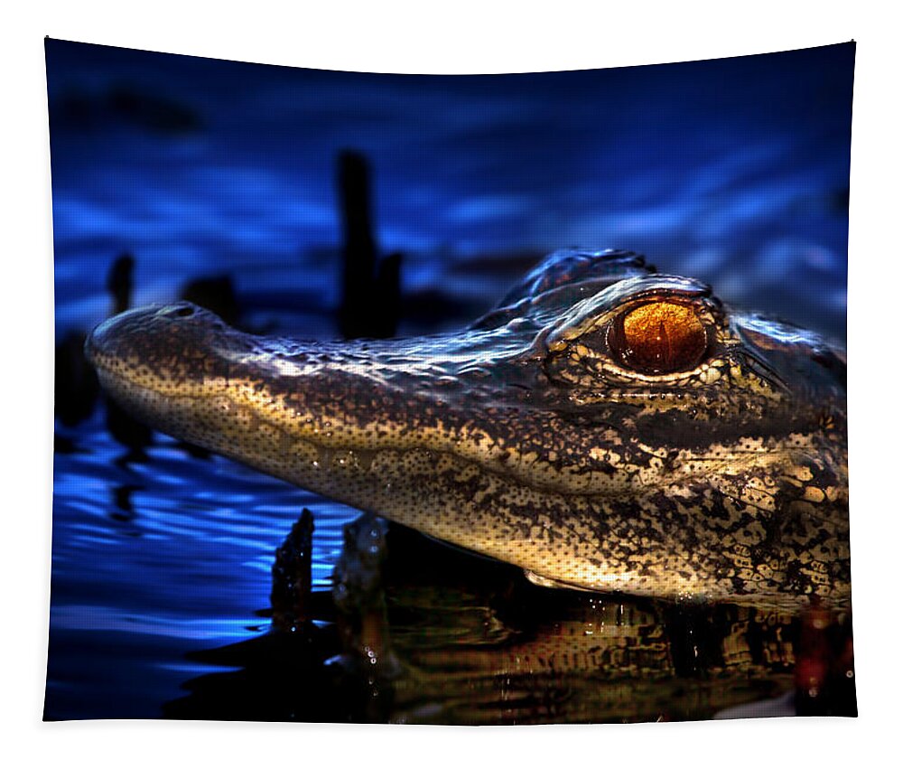 Alligator Tapestry featuring the photograph Son of a Gator by Mark Andrew Thomas