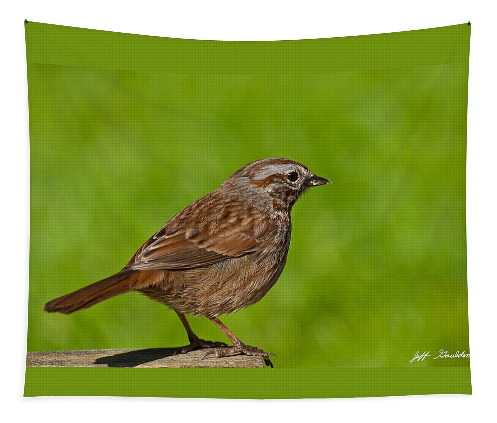 Animal Tapestry featuring the photograph Song Sparrow on a Log by Jeff Goulden
