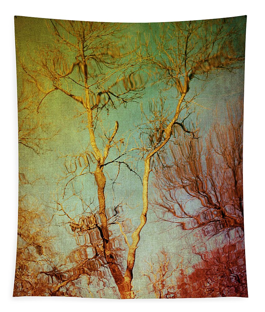 Sky Tapestry featuring the photograph Souls of Trees by Trish Mistric