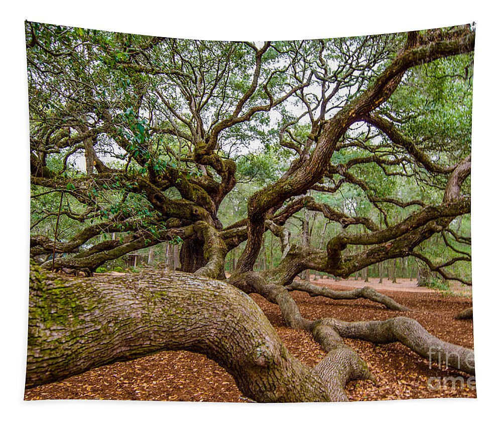 Angel Oak Tree Tapestry featuring the photograph Southern Angel by Dale Powell