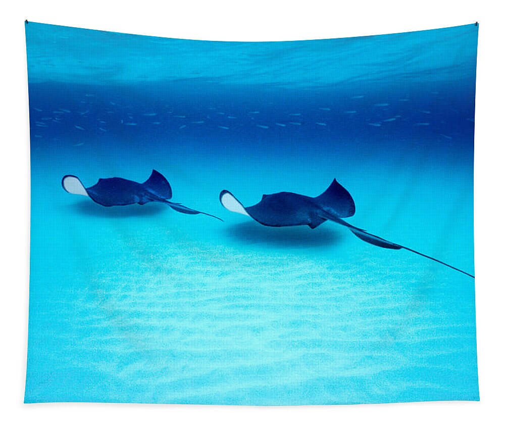 Photography Tapestry featuring the photograph Southern Stingrays Grand Caymans by Panoramic Images