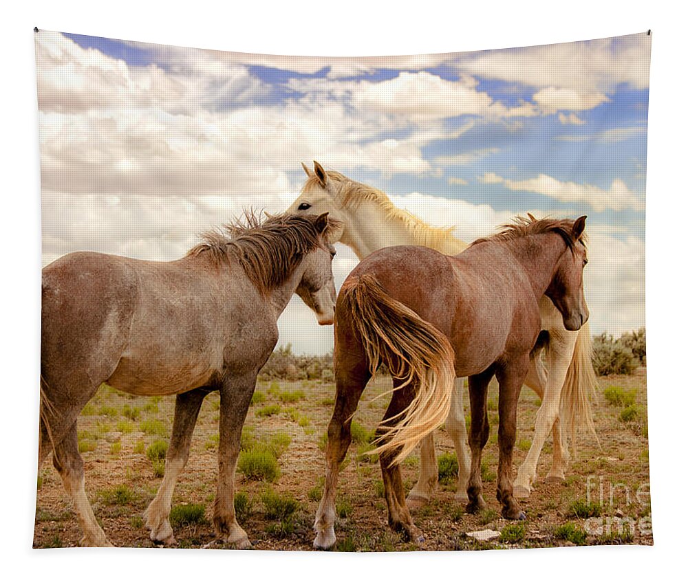 Southwest Wild Horses With White Stallion On Navajo Indian Reservation In New Mexico Tapestry featuring the photograph Wild Horses With White Stallion On Navajo Indian Reservation by Jerry Cowart