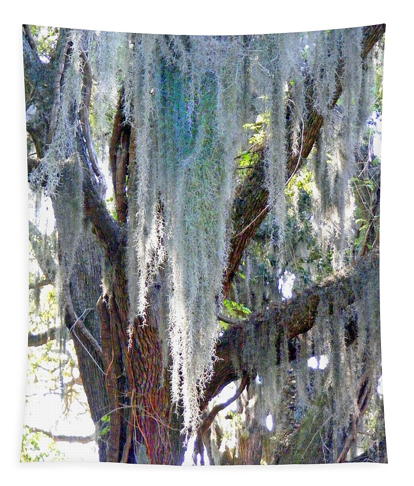 Moss Tapestry featuring the photograph Spanish Moss by Duane McCullough